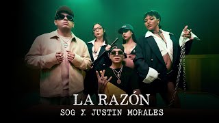 La Razón Lyrics English Translation