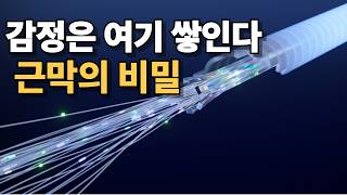 감정이 쌓이는 곳