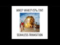 WHO WHAT 5 TINT SEAMLESS TRANSITION Travis Scott