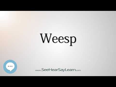 Weesp (How to Pronounce Cities of the World)💬⭐🌍✅
