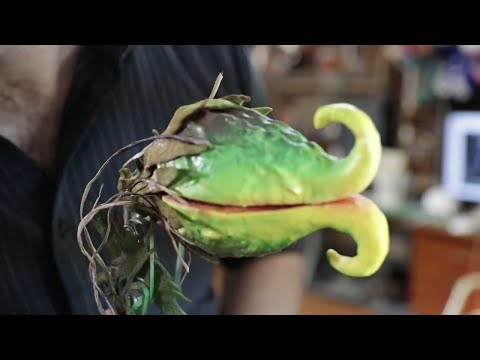 YouTube Thumbnail