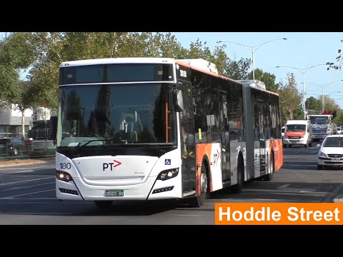 Buses on Hoddle Street during peak hour; Melbourne's busiest bus corridor - Melbourne Transport