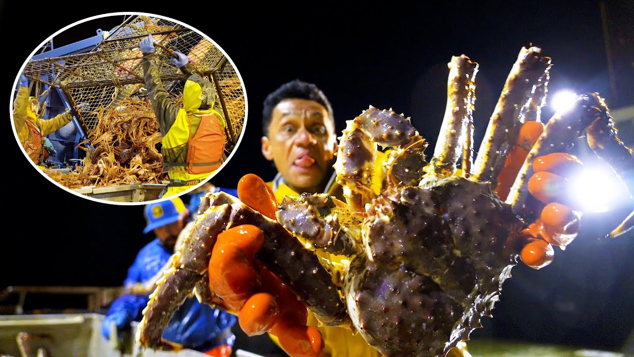 YouTube Thumbnail Downloader FULL HQ IMAGE