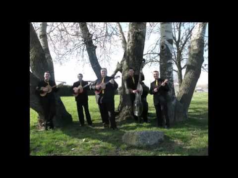 TS "Sedam osmina" - Lavanda