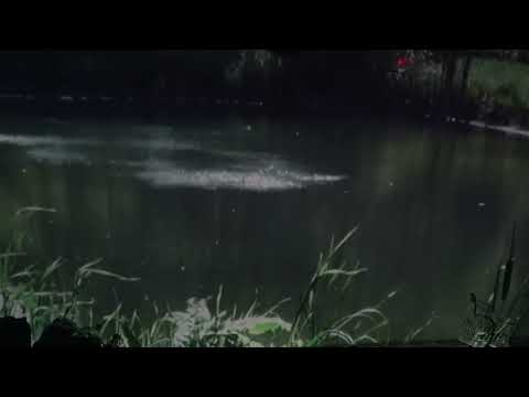 Rhythm in the Kitchen, 2023: Phil Niblock (RIP) & Katherine Liberovskaya Video