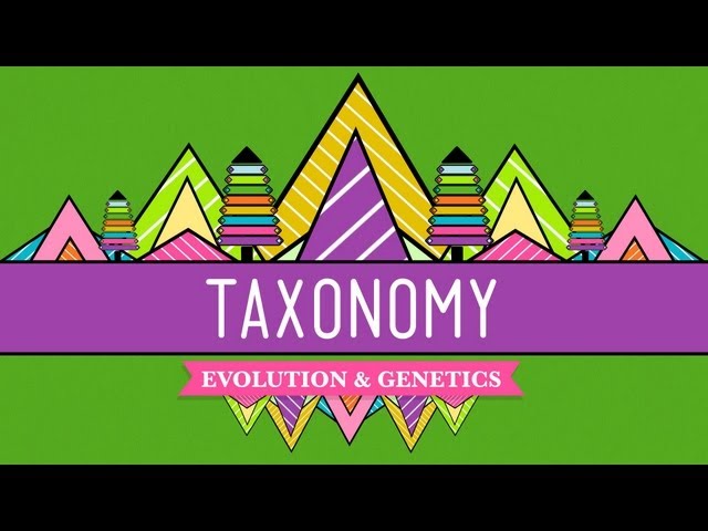 Προφορά βίντεο taxonomy στο Αγγλικά