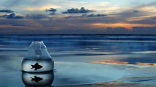 Bajka - The Hunting (Club des Belugas Remix)