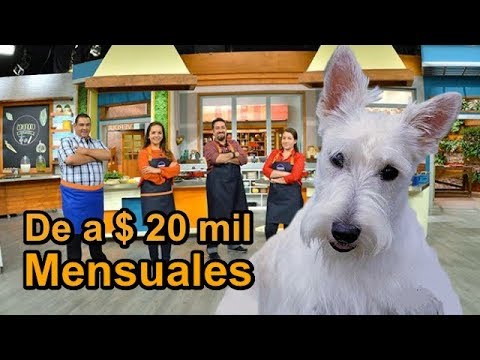Perro de Cocineros Mexicanos Gana más que Presentadores