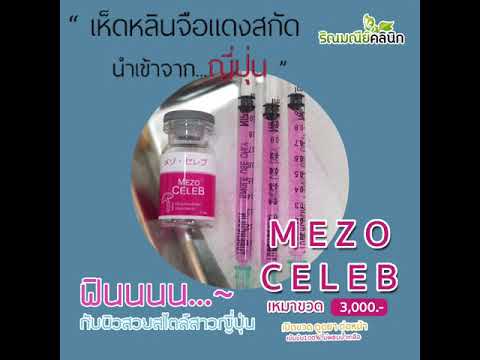 เมโสแฟต ยี่ห้อไหนดี