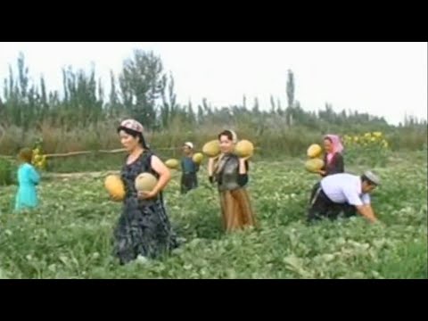Uyghur folk song - Suliri Süzük (English Subtitles)