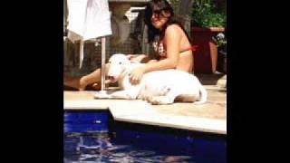 selva branca - babado novo