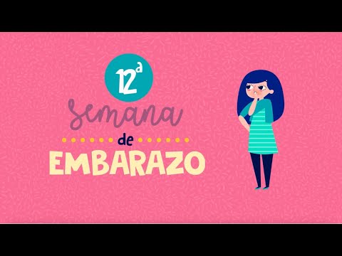 ¡Te presentamos el Dibu 12 del embarazo!