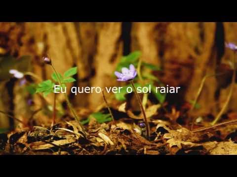 João Gonçalves - Sentimento Celestial