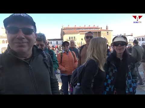 Video del almendro en flor 2026