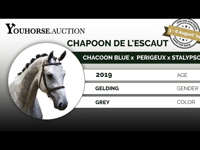 Chapoon de L'escant