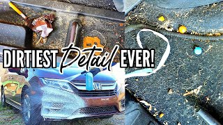 Cleaning The Dirtiest Car Interior Ever! Complete Disaster Full Interior Car Detailing