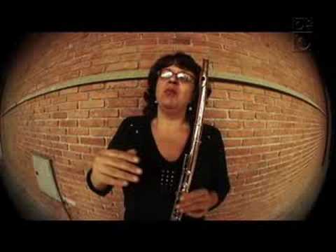 Meu Instrumento - Flauta Transversal - Trama/Radiola