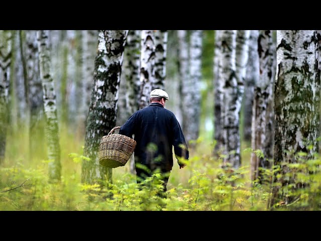 Сторожа лесоделяны спасли от гибели