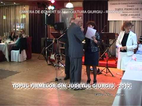 TOPUL FIRMELOR DIN JUDETUL GIURGIU