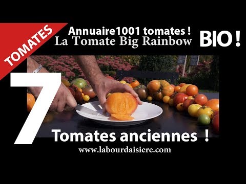 Tomate.Surprise? 7 Tomates surprenantes et insolites.Video 1.Bio et Nature Video