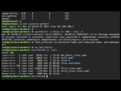 Sysdig falco - Looking at Logs and Changing a Rule