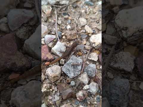 Cachipampa, San Nicolás - Provincia de Carlos Fermín Fitzcarrald 😎☀️🚘#shorts #shortsviral #ancash