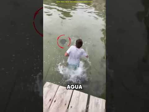 Este TIPO Se Encontró Este BICHO Raro 🪲