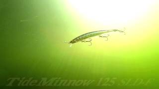 Duo tide minnow sld f 125