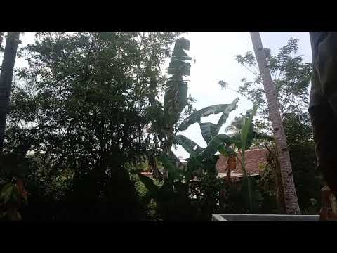 dagelan:jowo episode:23 part 1