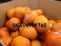 Halloween tag 