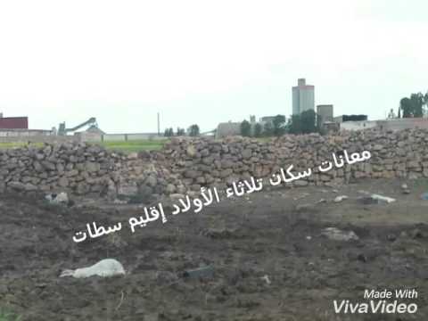 فضيحة ثلاثاء لولاد