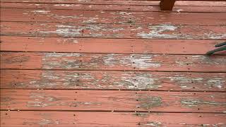 BEWARE Using Solid Stain on a Deck!!