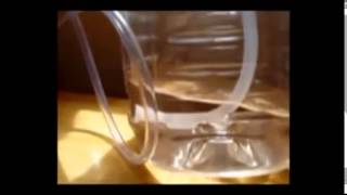 Thumbnail for video: Extremely simple DIY ebb and flow hydroponics system  part 1