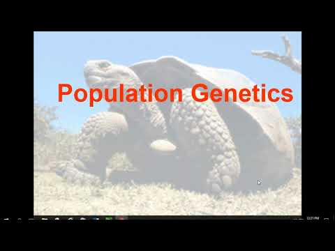 Introduction to Population Genetics Notes