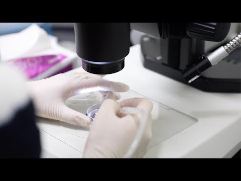 KURNe #10, Institute for the Advanced Study of Human Biology, ASHBi (Long Ver)