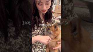 橋本環奈わんちゃんとイチャイチャ #切り抜き #tiktok #可愛い #youtubeshorts #橋本環奈　#hiphop #コスプレ #selfcare #歌舞伎町 #犬 #猫