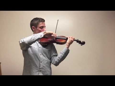 Douglas Ferry Violin Technique