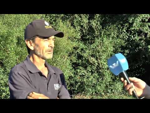 Todo Uruguay | El balsero de Río Negro