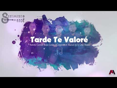 SENTIMIENTO DEL ANDE - Tarde Te Valoré - (Karaoke) (Tunantada)