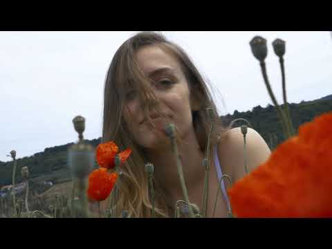 Željko Šinkovec - Vzhodne rože