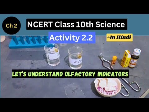 Activity 2.2 I Class 10 Science I Olfactory Indicators