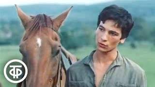 В семнадцать мальчишеских лет (1985)