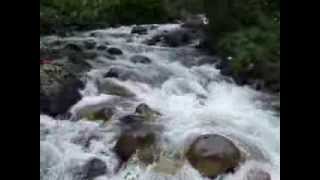 preview picture of video 'AYDER YAYLASI - Fırtına Deresi (Storm River)'