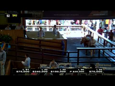 2016 Gold Coast Yearling Sale - Day 1 - Full Sale