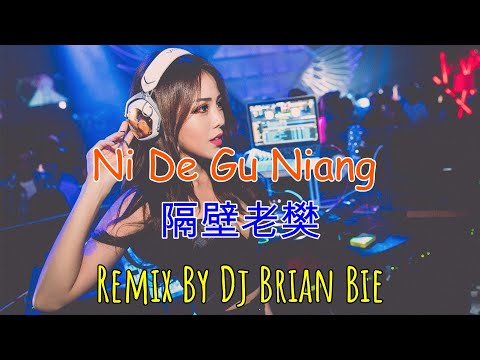 Ni De Gu Niang - 隔壁老樊 (Electro Manyao) By Dj Brian Bie #dj抖音版2024 #remixmanyao #remixkaraoke