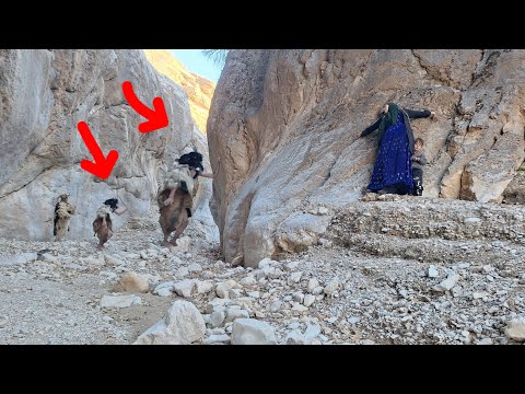 Fariba's surprise in the terrifying dungeons by the cave dwellers