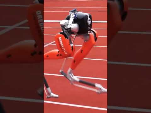 World fastest 100 meters by a bipedal robot -24.73 seconds complied run.#shorts