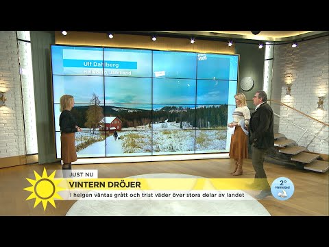 Vintern dröjer: "Vi drar inga slutsatser för julafton ännu!" - Nyhetsmorgon (TV4)