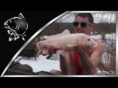 Vinter-karpe konkurrence med Nash