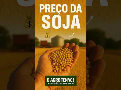 🎙️ Mercado da Soja – Disponível | 24 de julho de 2026